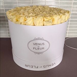 Venus Et Fleur Cream Rose Box
